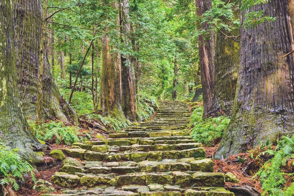 BACKYARD TRAVEL TOUR TAKES A NEW LOOK AT AN ANCIENT JAPANESE TRAIL