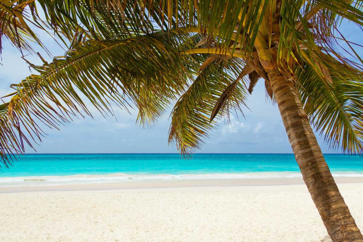 Bay Gardens Hotel And Beach Resort In St Lucia Enlisted