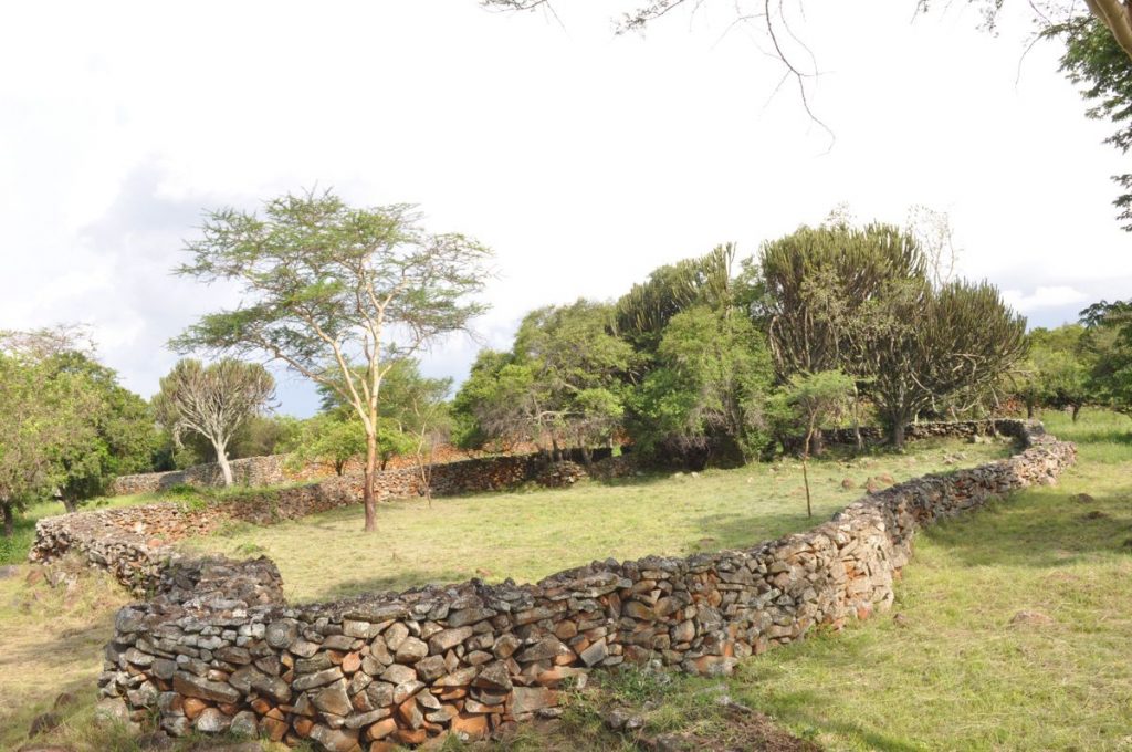 Large cattle enclosure at the Thimlich Ohinga Archaeological Site © National Museums of Kenya