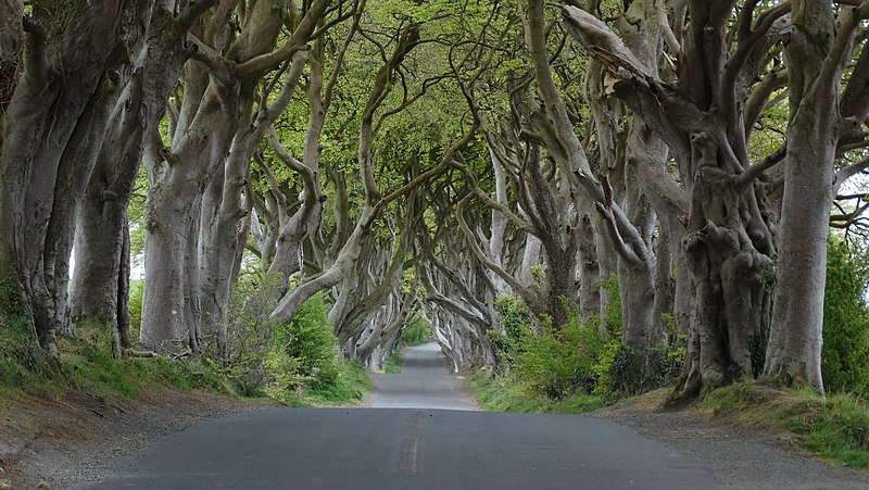 Game Of Thrones Tour