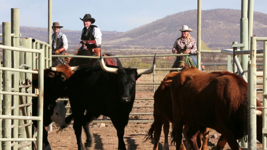 Tombstone Monument Ranch, Arizona, 47 Working Ranch, round up