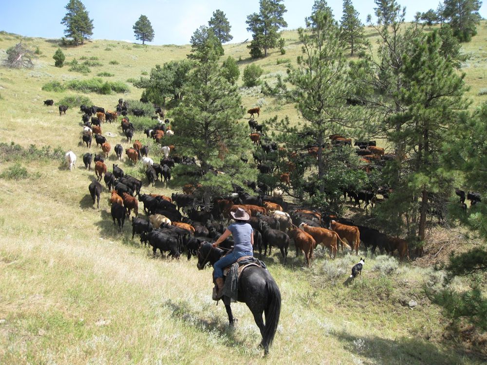 Spice up Autumn with a new Horseback Adventure from Ranch Rider