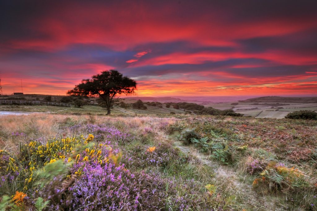 Ventnor Down at sunset (Isle of Wight - United Kingdom). © UNESCO/Courtesy Visit Isle of Wight - United Kingdom