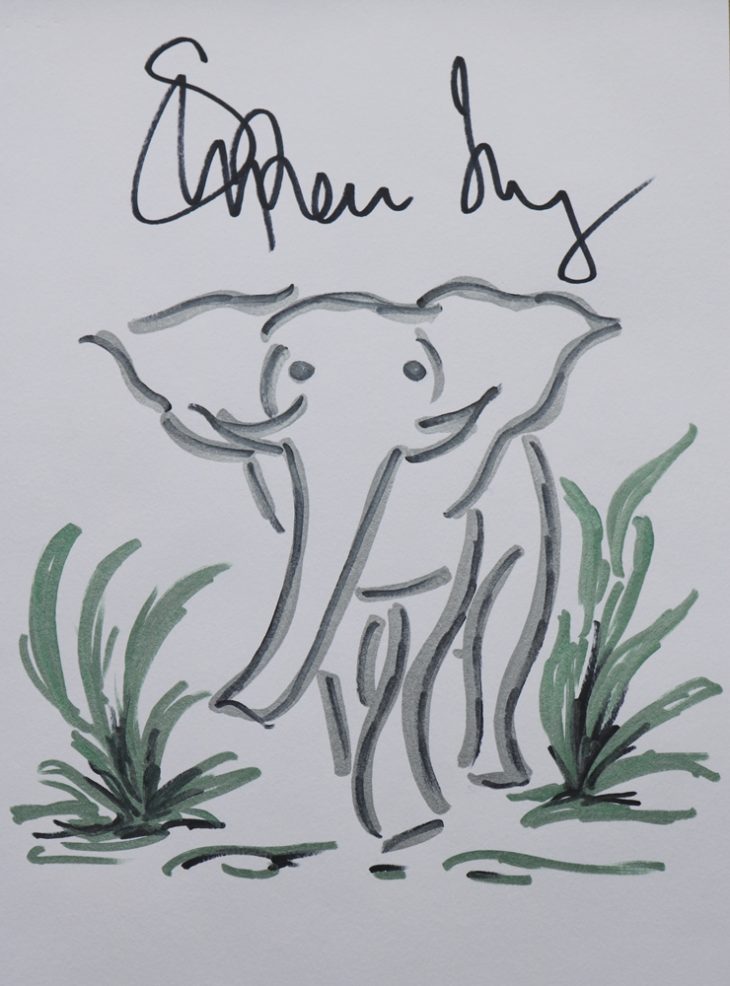 Wildlife artwork sketch for Survival Stephen Fry