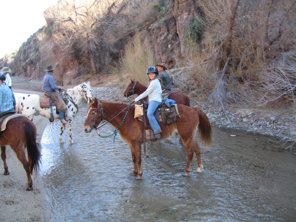 Ranch Rider horseback adventures